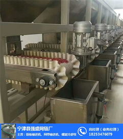 裙邊皮帶輸送機(jī) 強(qiáng)盛網(wǎng)鏈用品質(zhì)說話 裙邊皮帶輸送機(jī)規(guī)格